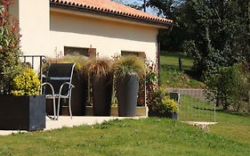 Hotel Le Mas de Castel - Piscine chauffee